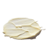 Crema facial Oleosomes Time Release Delivery Crème