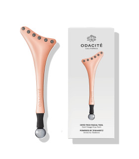 Herramienta facial Cryo-Tech Facial Tool